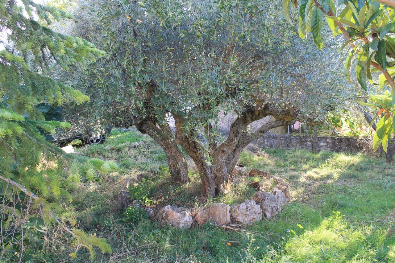 Casa Rural Baobab Romancos Екстериор снимка