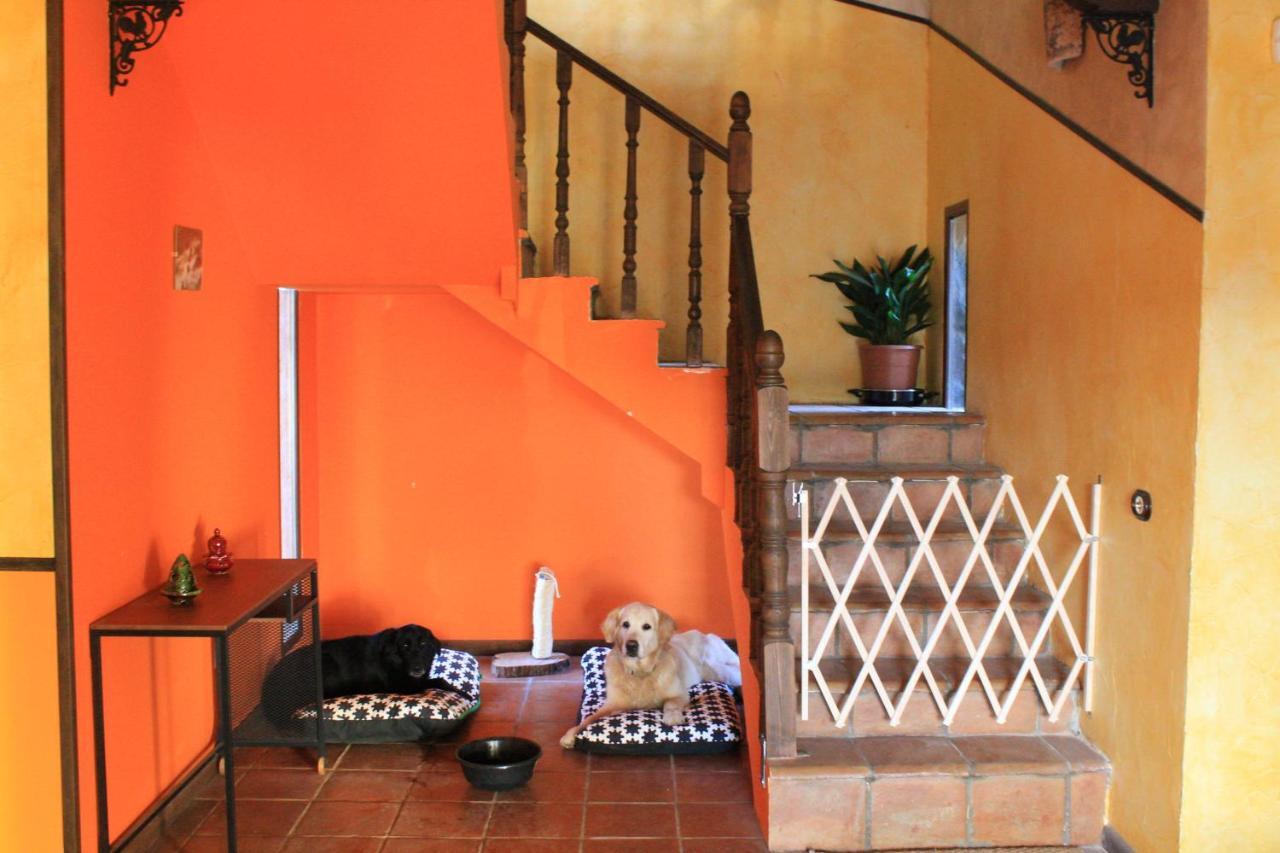 Casa Rural Baobab Romancos Екстериор снимка